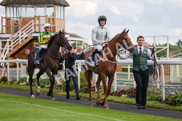 yr11052022r7-6 - Race 7 5.15pm British Stallion Studs EBF Novice Stakes