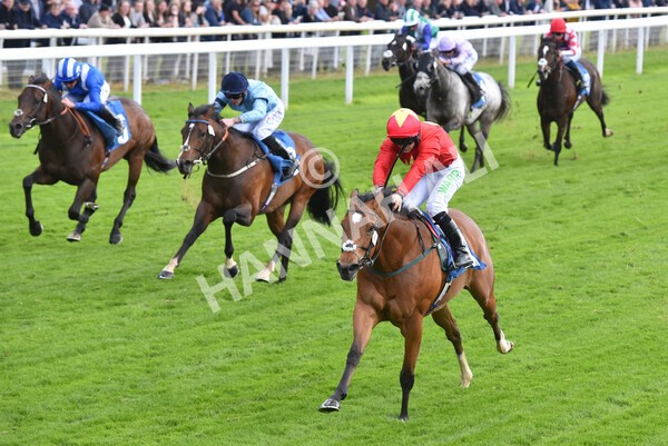 yr11052022r3-24 - Race 3 3.00pm 1895 Duke of York Clipper Logistics Stakes