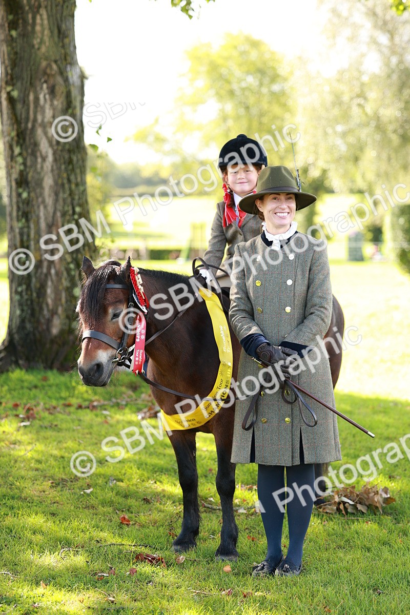 SBM_42207 - S32 - Mountain & Moorland Working Hunter Pony