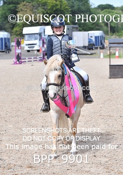 BPP_9901 - CLASS 3 Derby Show Jumping 40CM