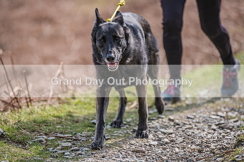 Black Combe-1096 - Black Combe Fell Race Saturday 9th March 2024