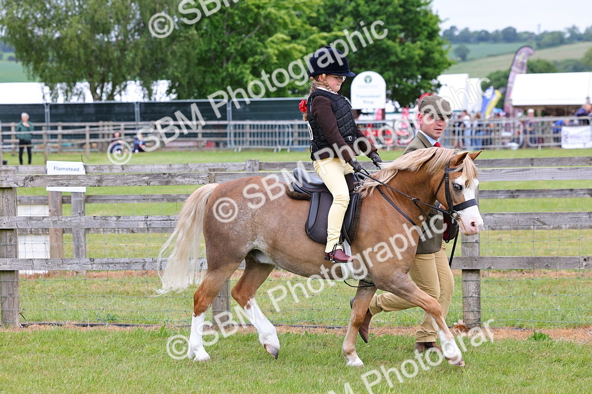 SBM_08104 - Class 42-43 - LIHS BSPS Heritage Working Sports Pony
