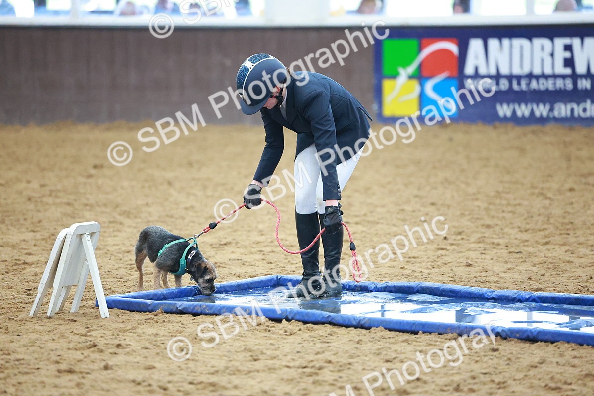 SBM_001656 - Class 3 - Horse & Hound (60cm)