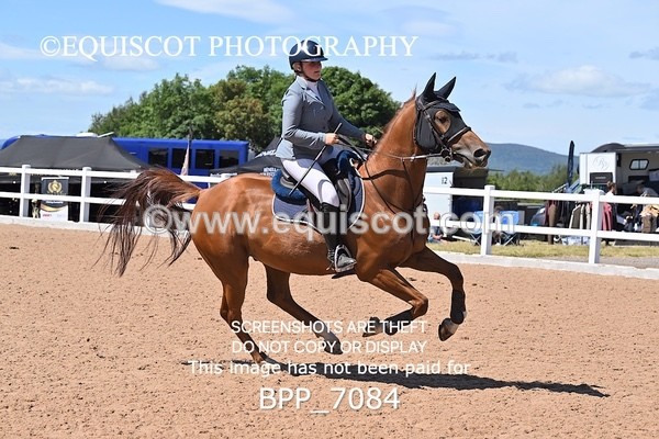 BPP_7084 - CLASS 14 FRI Nupafeeds Senior Dicovery/1m open