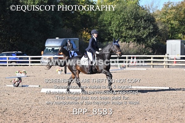 BPP_8583 - LONG ARENA