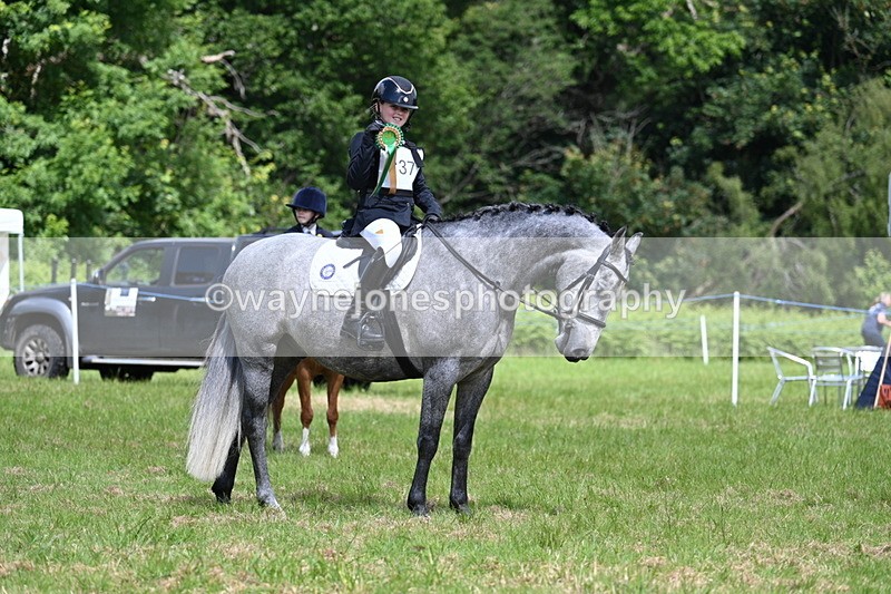 WJ7_1833 - Class 9 Pony Club Pony