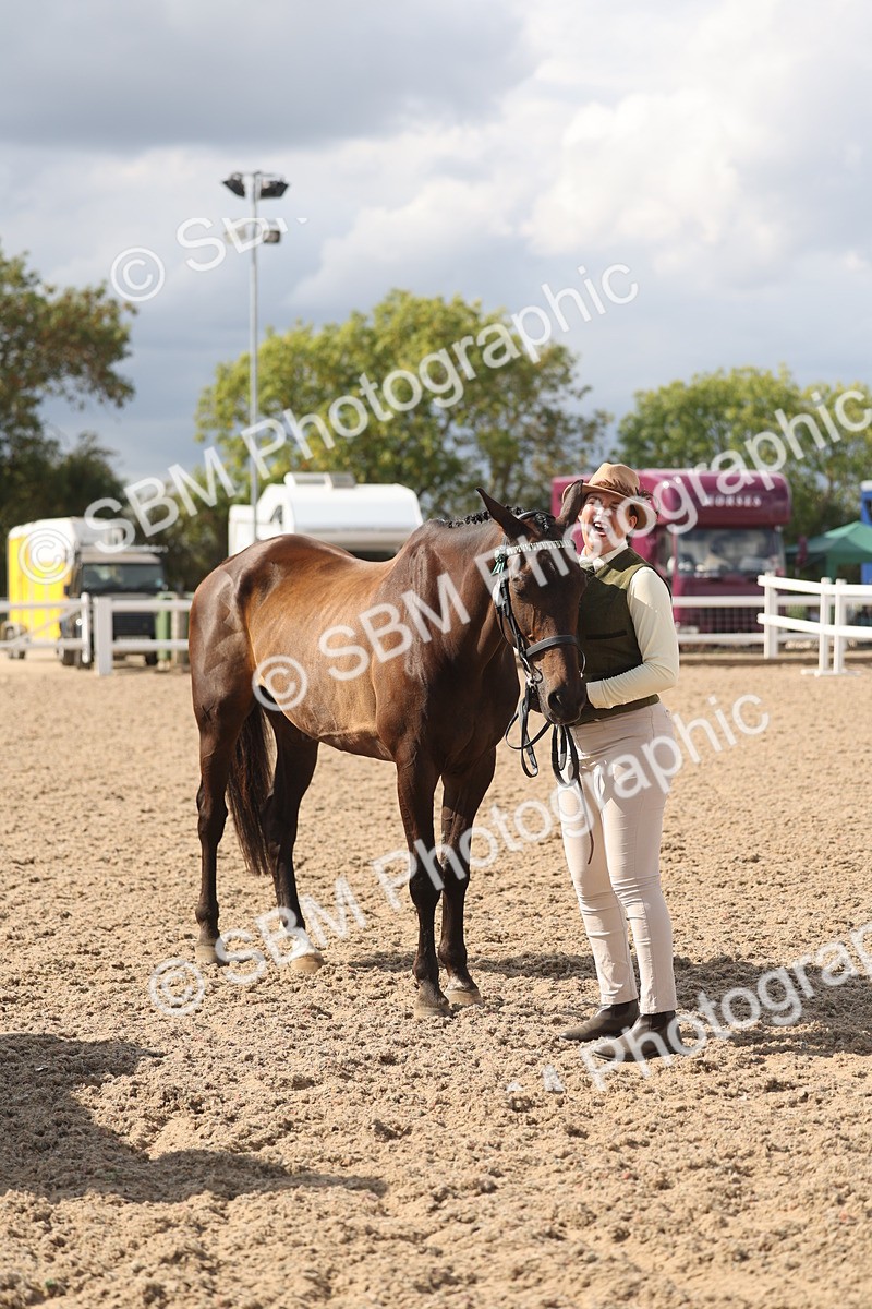SBM_06876 - Class 25 - IH Foreign Breeds - Purebred