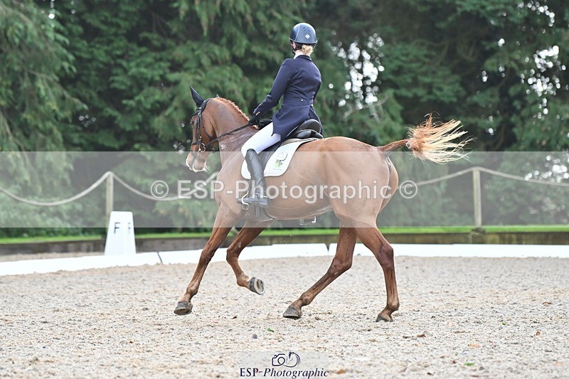 231019-122314-03088 - 113-RIVERSTOWN.ROYAL-Georgie.Frow-DR