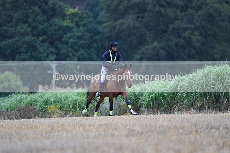 WJ5_3253 - Sofian Francis