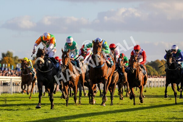 yr08102022r7-28 - Race 7 5.00pm The Coral Gets You Closer To The Action Stakes