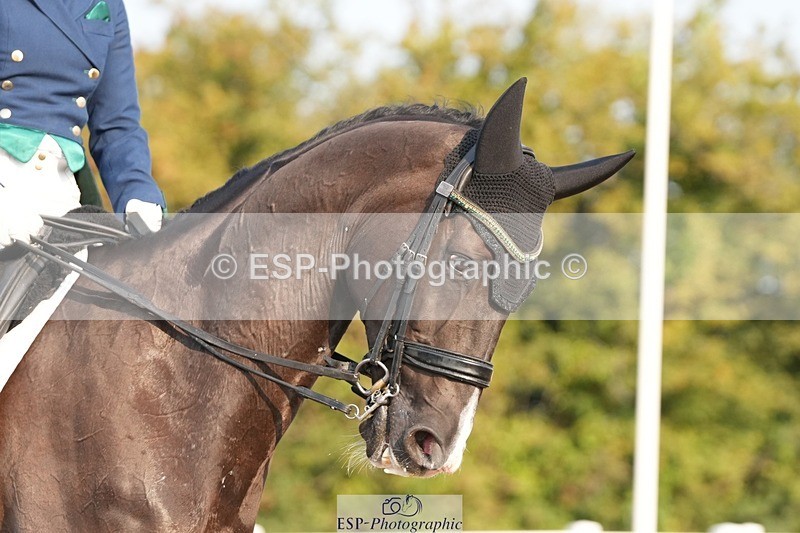 250817-083838-07294 - 144-Hayley.JamesKingstone-W