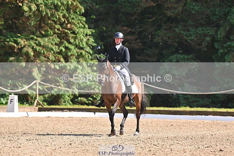 250523A-160330-07954 - B-373-Ben.Lee.Liles-FINCH.FANCY