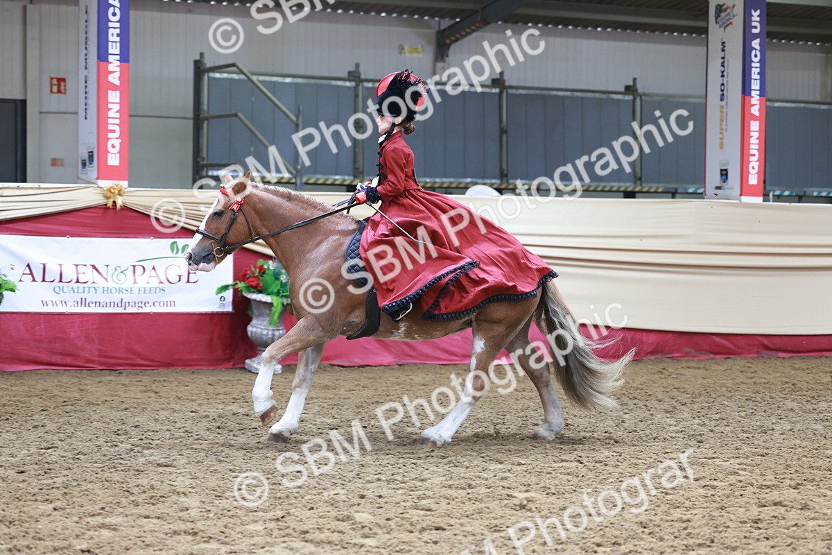 SBM_13514 - Class 104 - Ridden Costume - Astride Junior