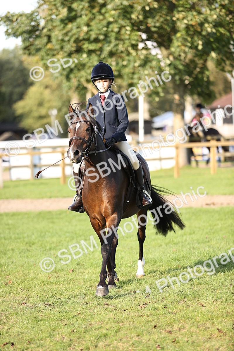 SBM_29467 - S7 - Novice & Newcomers Ridden Pony