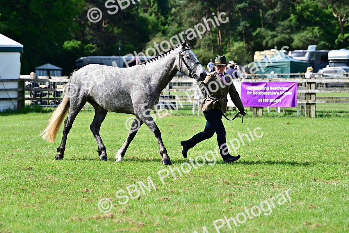 SBM_03337 - Class 50 - 54 Light Horse Breeding