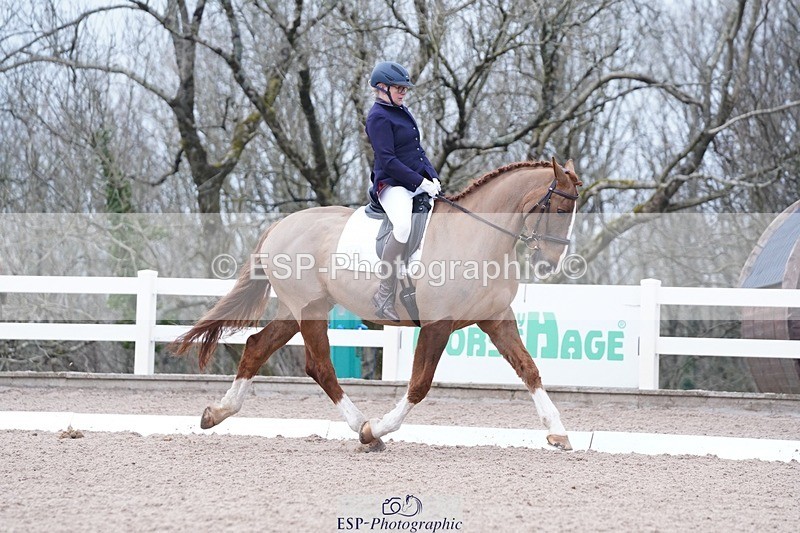 250214-102238-00123 - 224-Jill.McFarland-Adoon.Punchbowl