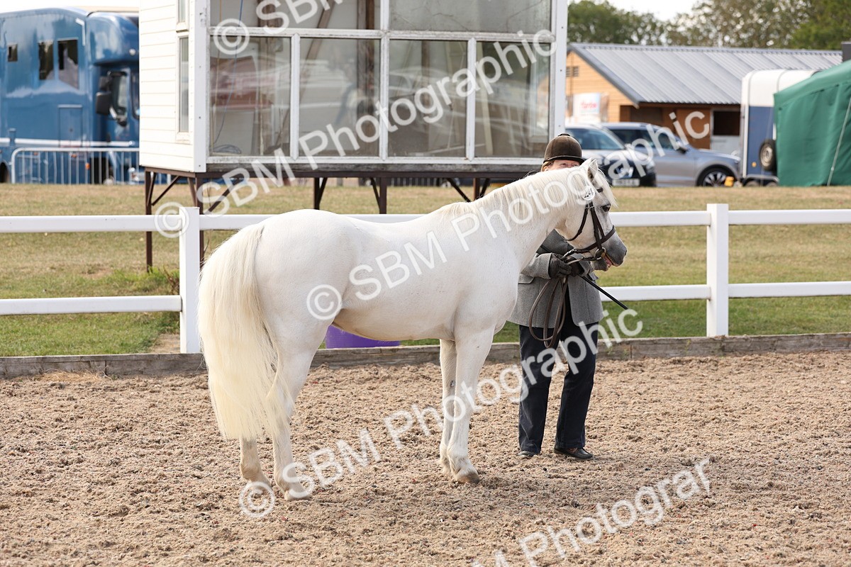 SBM_15065 - Class 209 - IH Veteran Pony