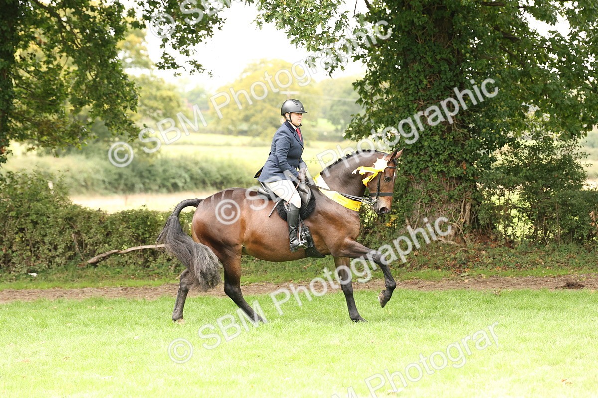 SBM_63059 - S64 - Foreign Breeds Ridden