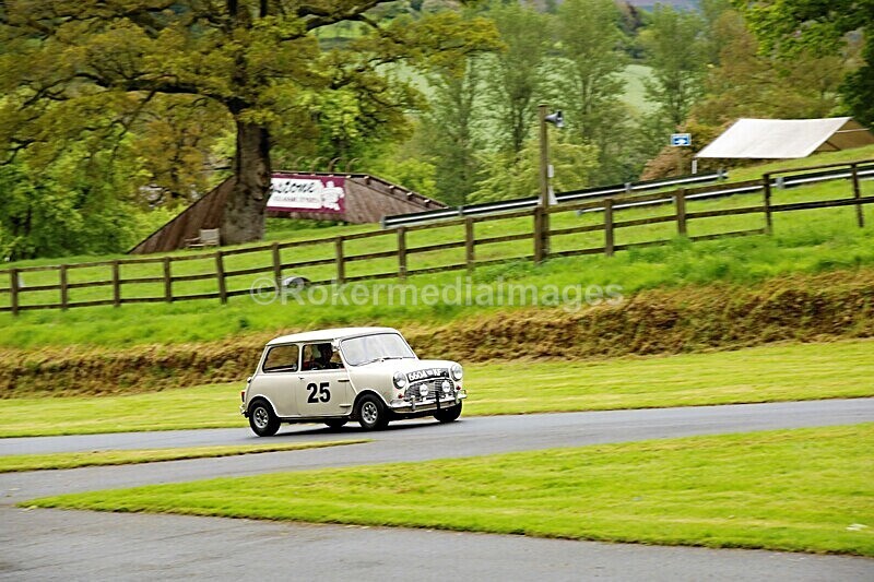 _56A1605 - MINI FESTIVAL 22ND May 2021