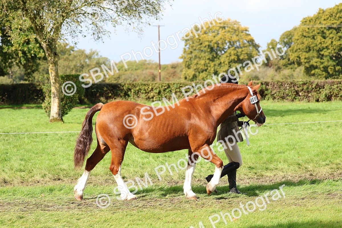 SBM_39406 - S24 - Young Veteran In Hand