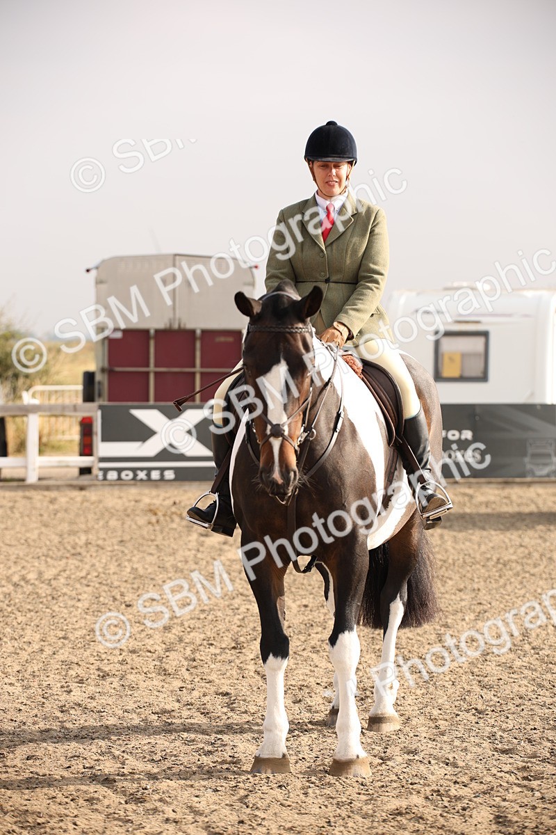 SBM_10233 - Class 402 Riding Club Horse