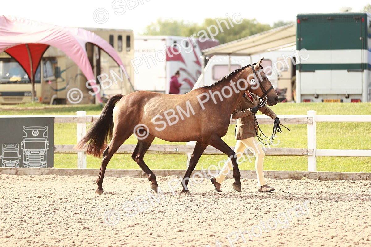 SBM_10513 - Class 204 Young Handler, 11-16 years