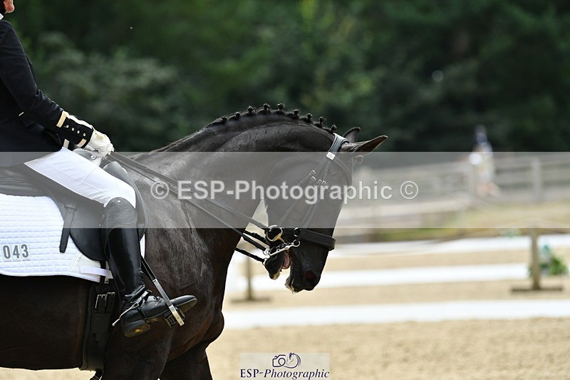 250718A-143622-02167 - 043-Jules.Praed-ENIGMA