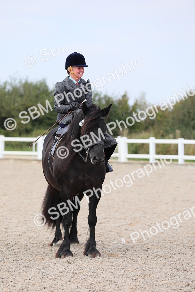 SBM_14585 - Class 211 Best Side Saddle Horse/Pony