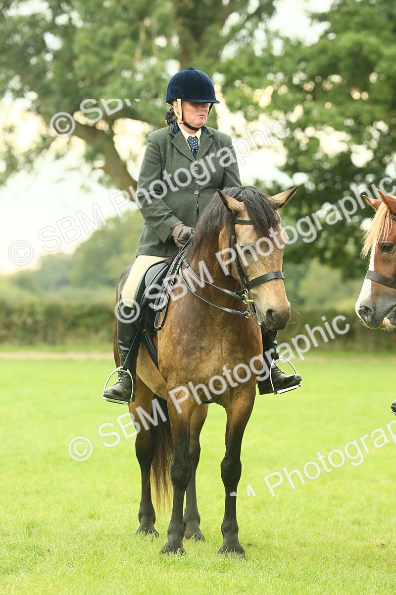 SBM_72189 - S60 - Mountain & Moorland Ridden Large Breeds