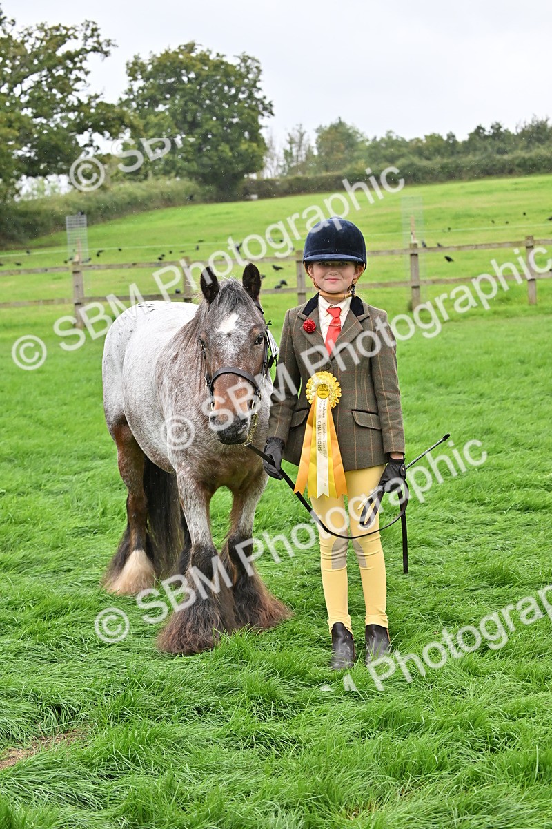 SBM_68659 - S42 - Junior Handler 9-12 Years