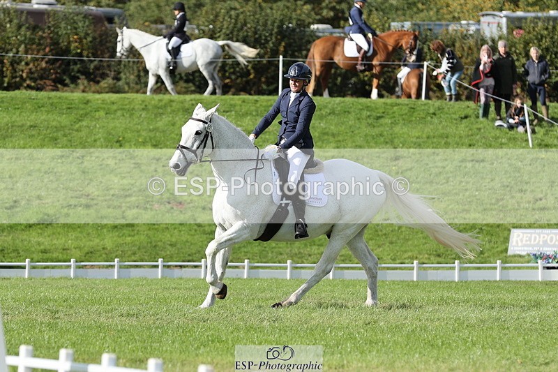 251024A-133155-12596 - H-651-Victoria.Tar