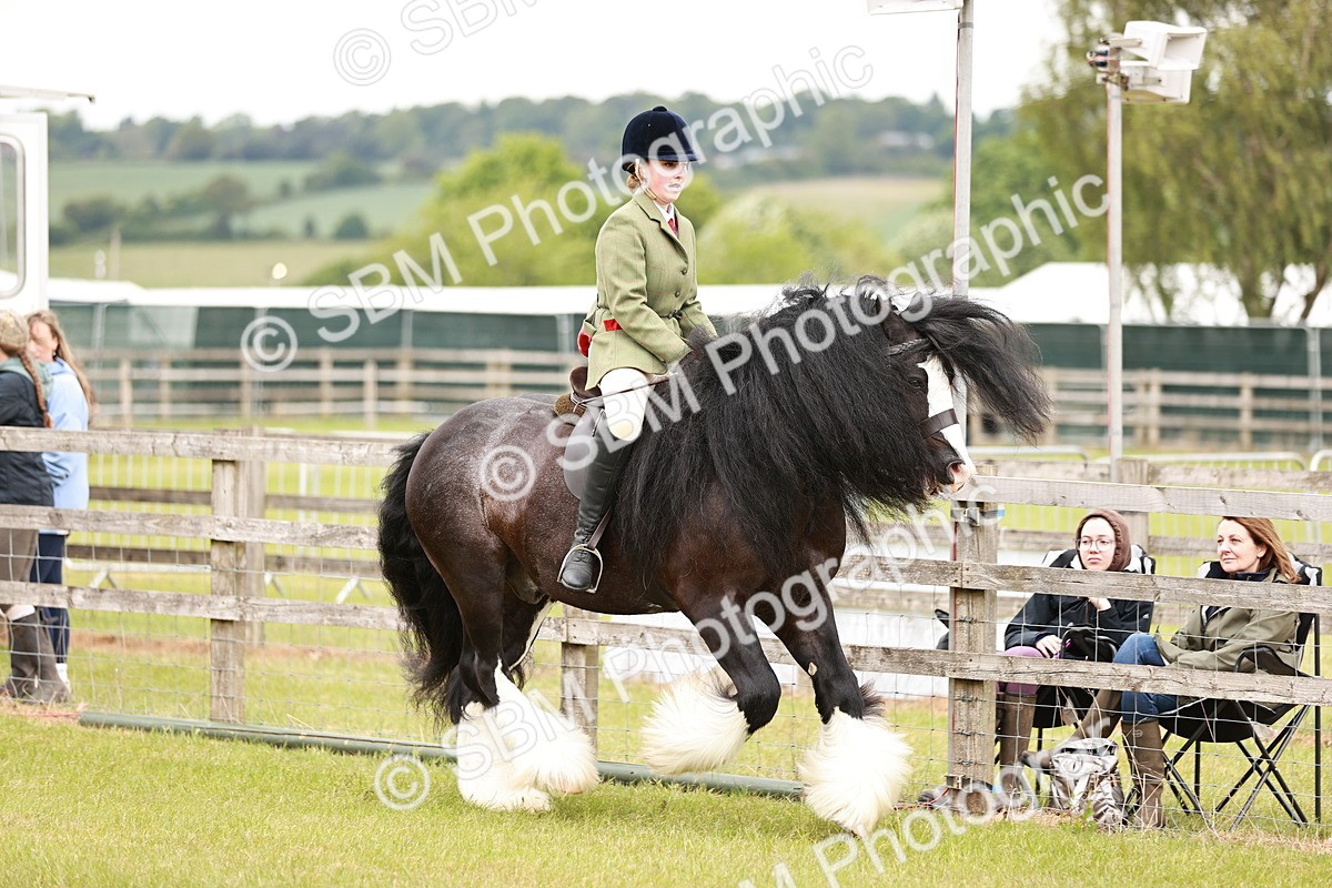 SBM_06133 - Class 39-41 TGCA In Hand and Ridden