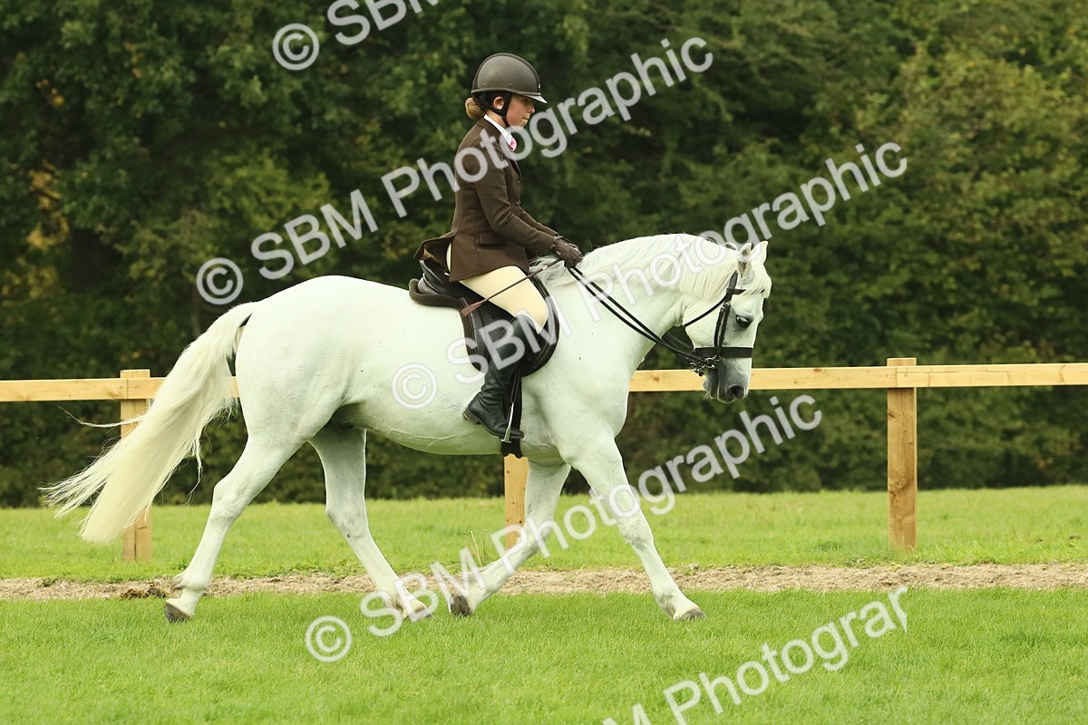 SBM_71869 - S60 - Mountain & Moorland Ridden Large Breeds