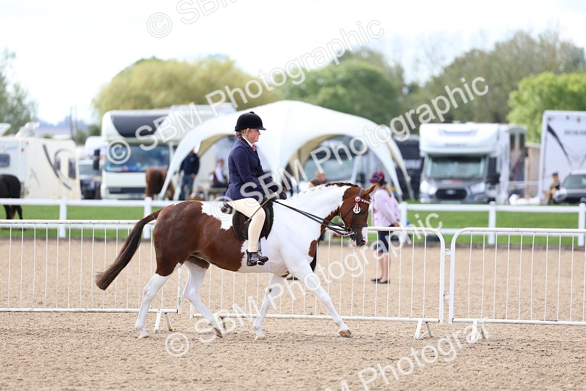 SBM_10072 - Class 304 - Ridden Part Bred Horse Pony