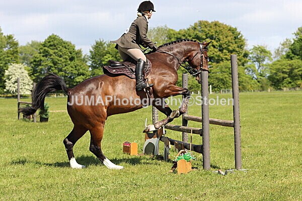 IMG_4454 - Working Hunter