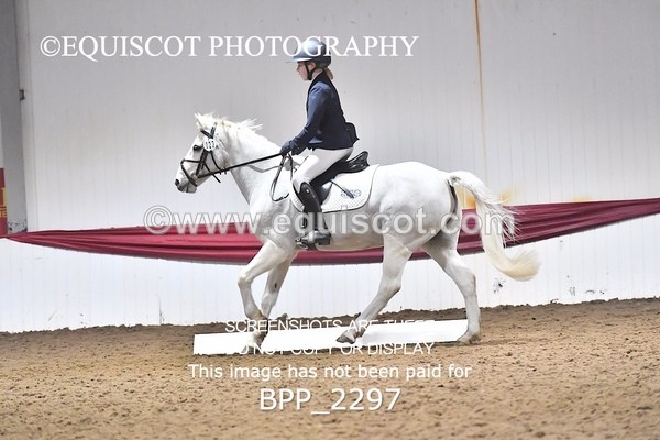 BPP_2297 - 23 - A LAMB