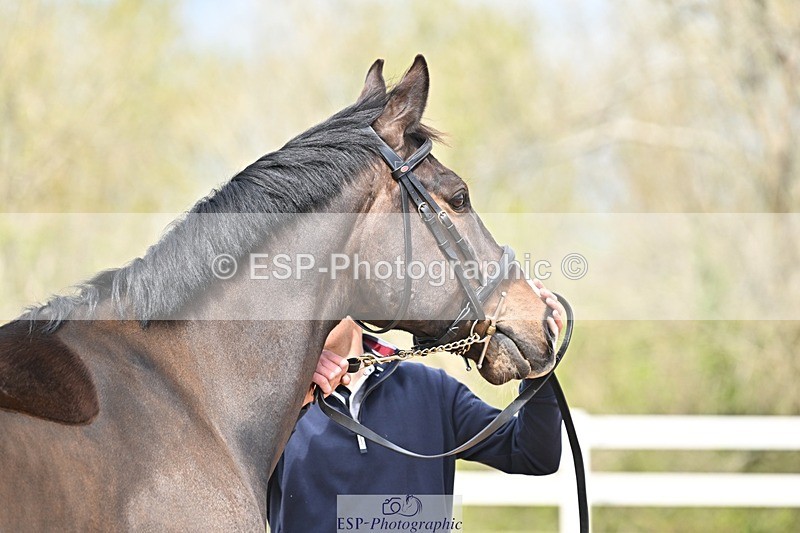 250423-133113-00636 - 1pm to 2pm