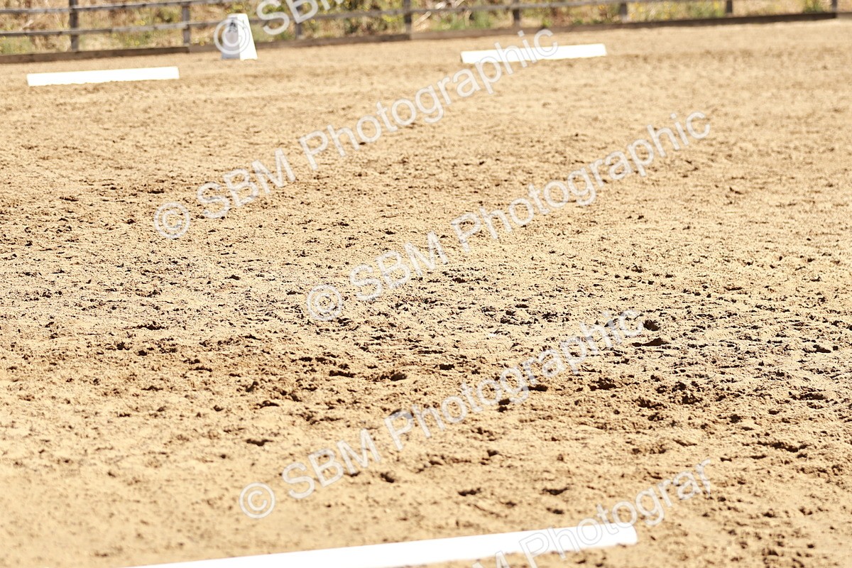 SBM_000838 - Class 12 - DR P1