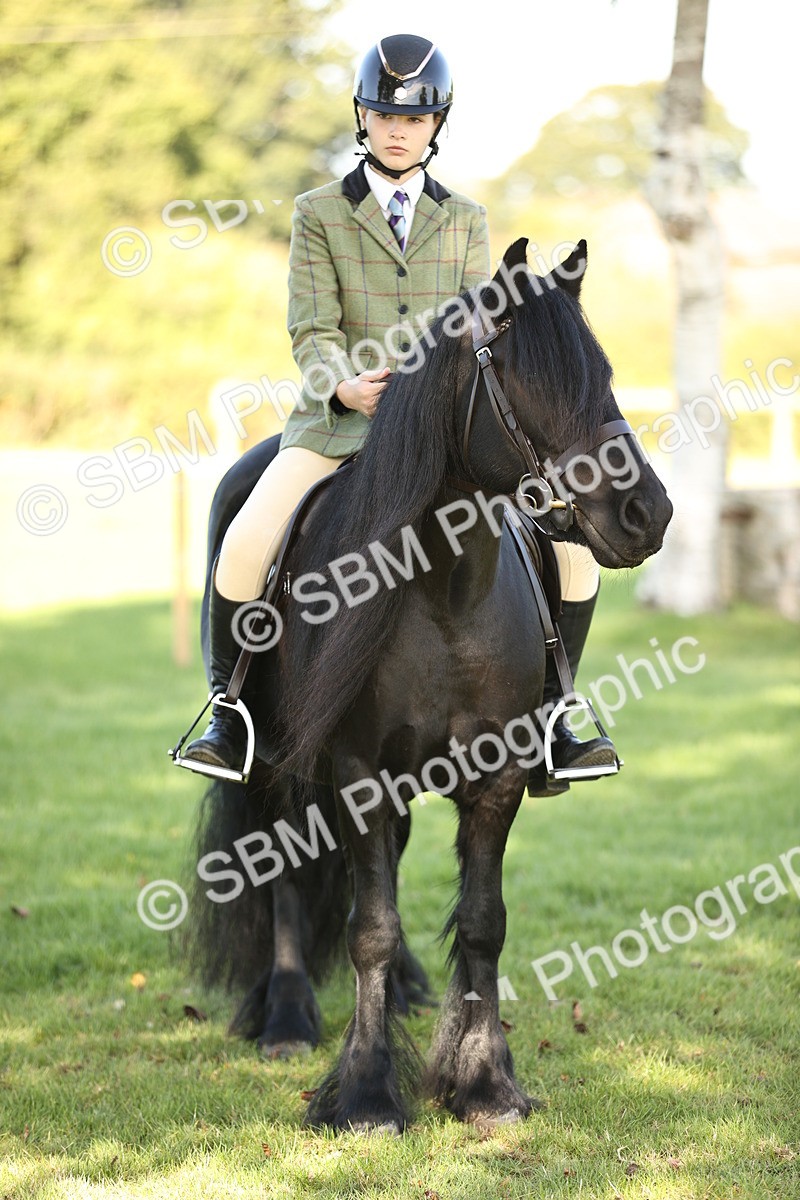 SBM_19060 - S3 - TSR Ridden Pony Showing