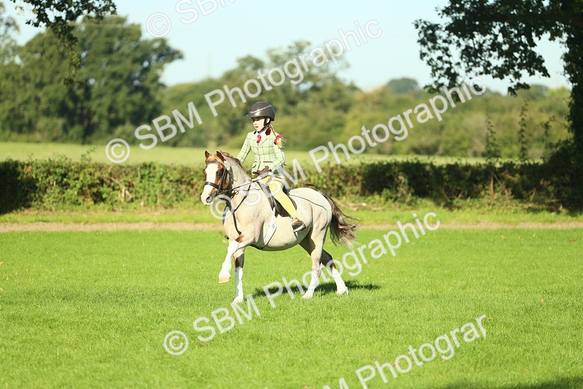 SBM_36364 - S29 - Novice & Newcomers Working Hunter Pony