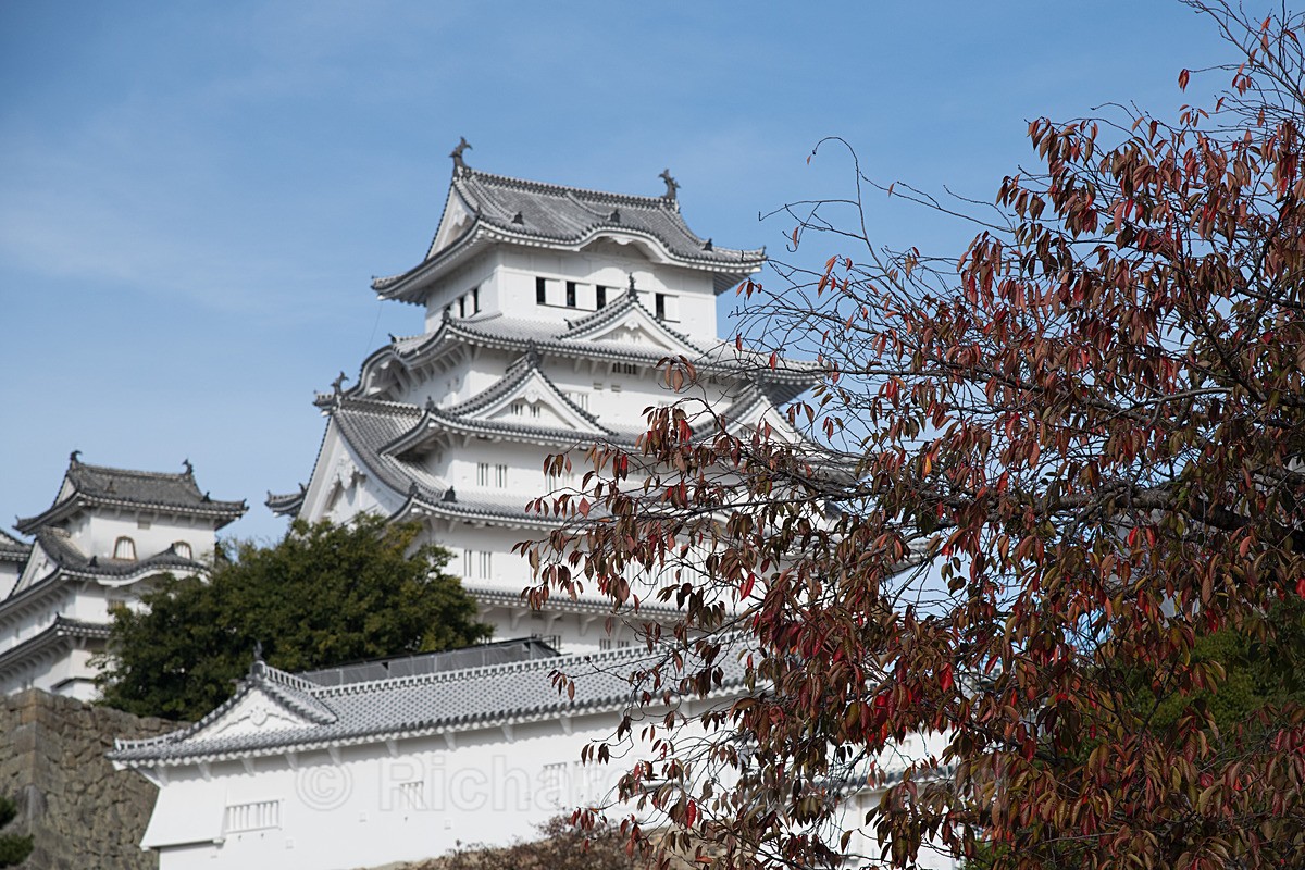  - Japan