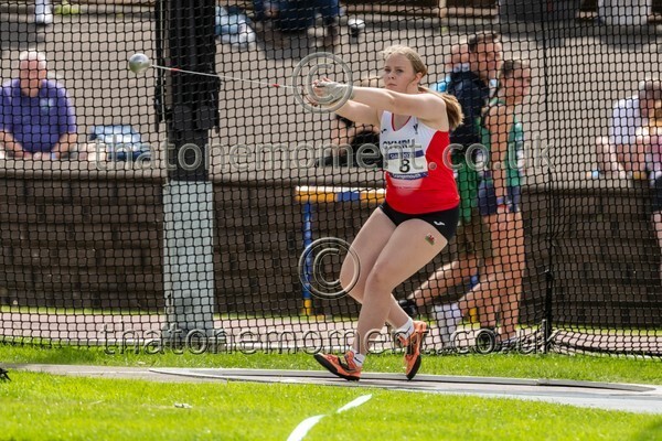 SIAB23-913043 - Field Female Set One