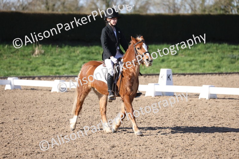 20260214-0354 - Class 4 - Novice 2