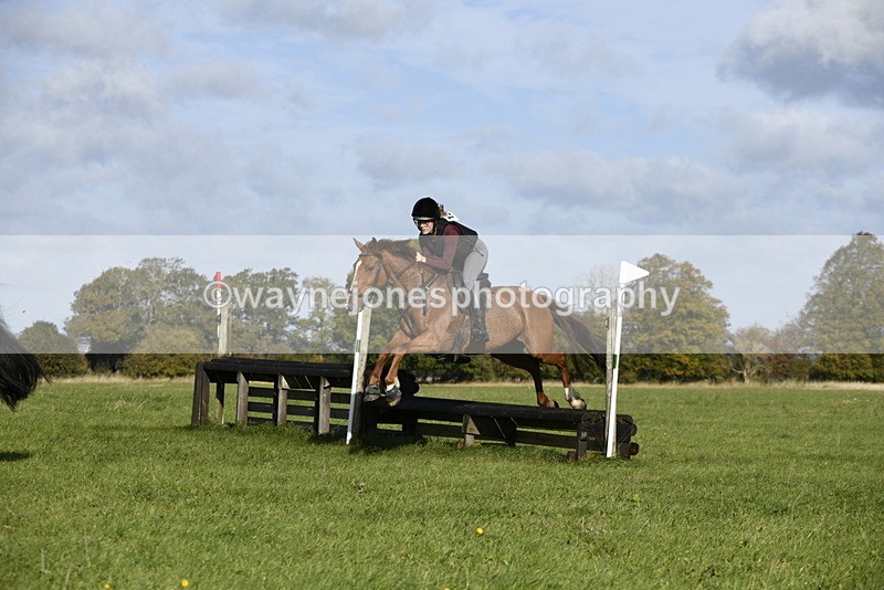 _DSC5277 - Time 10:49 to 11:23