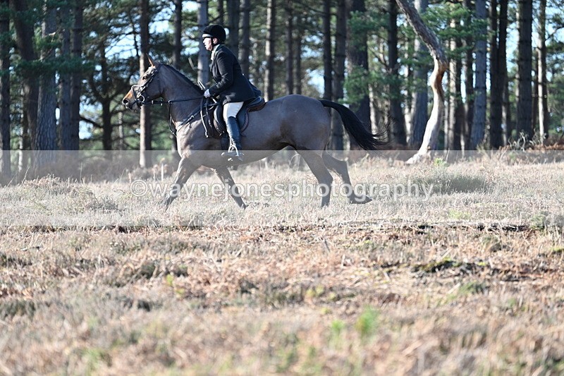 WJ7_7042 - Line 3 (no line 4 or 5)