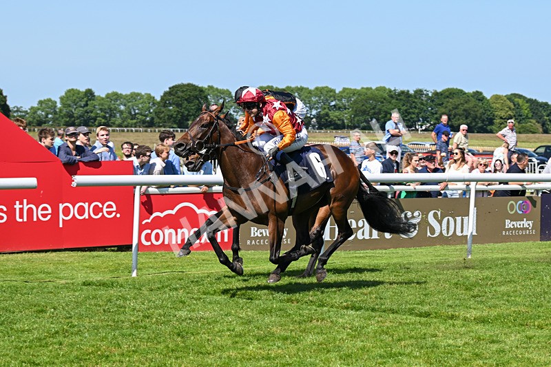 250624-Race 4-Lincoln Rockstar-5646 - Race 4