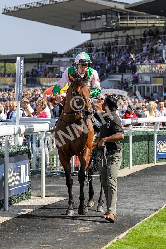 310824-Race 2-Democracy Dilemma-1165 - Race 2