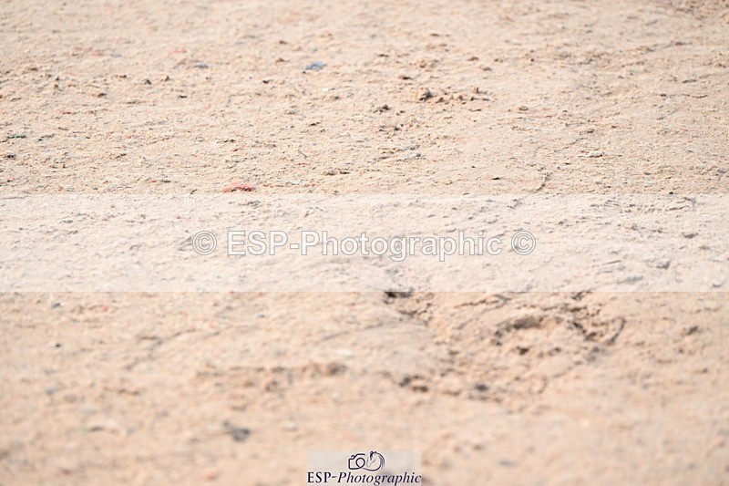 250424-095009-03722 - Cls 13 - 1 Star Bronze Tour