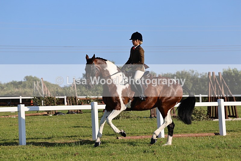 IMG_1239 - Class 27: Ridden Plaited Coloured Horse