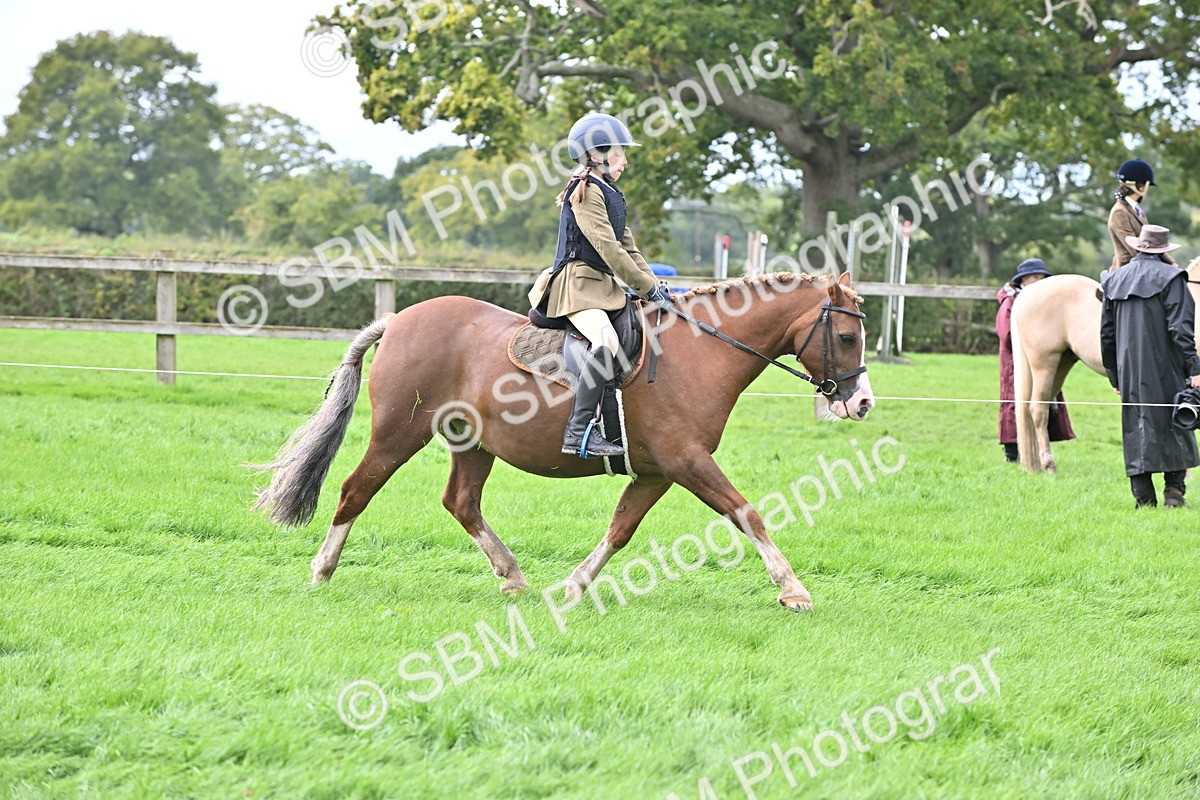 SBM_44474 - S13 - Pony Club Pony